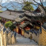 Busan Turu (10)