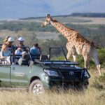 Cape Town Turu (11)