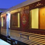 Hindistan Lüks Tren Turu (4)