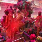 Holi Festivali Turu (8)