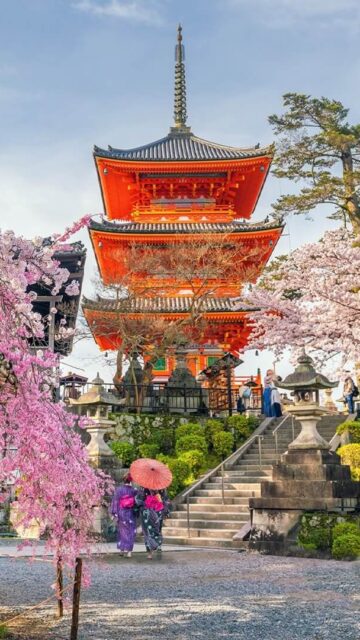 Japonya Sakura Turu