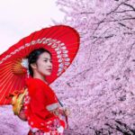 Japonya Sakura Turu (4)
