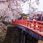 Japonya Sakura Turu (6)