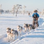 Lapland Turu (6)