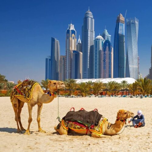 Maldivler & Dubai Grup Turu (2)