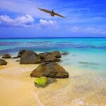 Montego Bay Turu (9)