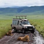 Ngorongoro Koruma Alanı Tanzanya Safari Turu (7)
