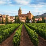 Rioja Gurme Turu