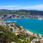 Wellington Turu