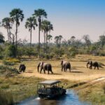 Zanzibar Milli Parkı Tanzanya Safari Turu (10)